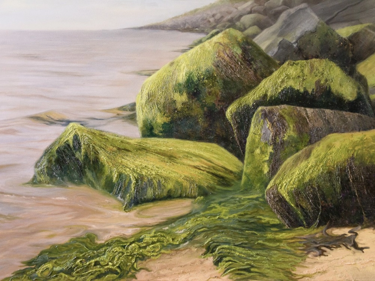 DSG is not just landscapes